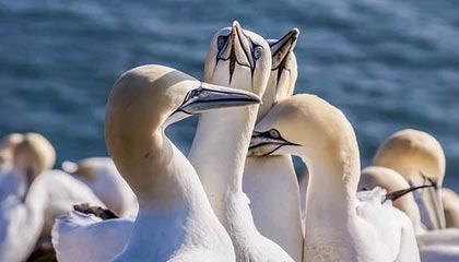 五指山伴游,定制QQ:3494206190微信:act1322